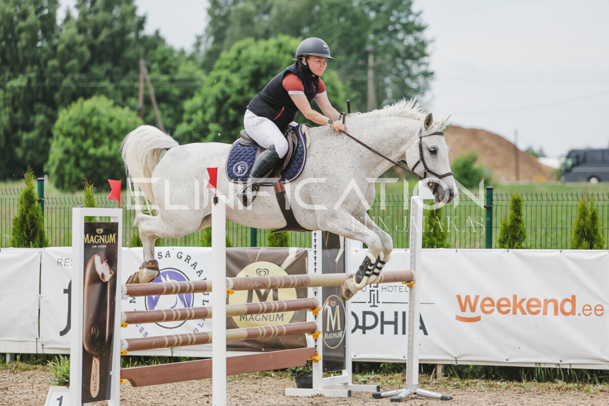 Gramina_Jaanipaev_2026_3p_115_128
