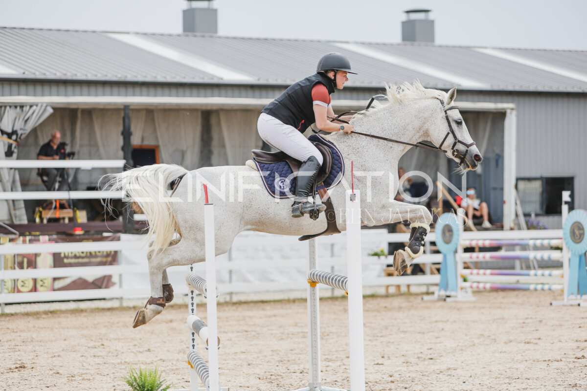 Gramina_Jaanipaev_2026_3p_115_129