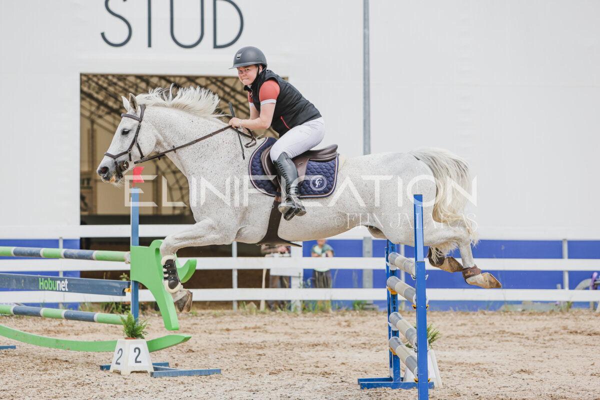 Gramina_Jaanipaev_2026_3p_115_132
