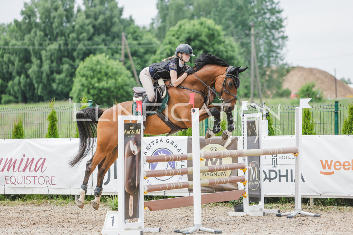 Gramina_Jaanipaev_2026_3p_115_133