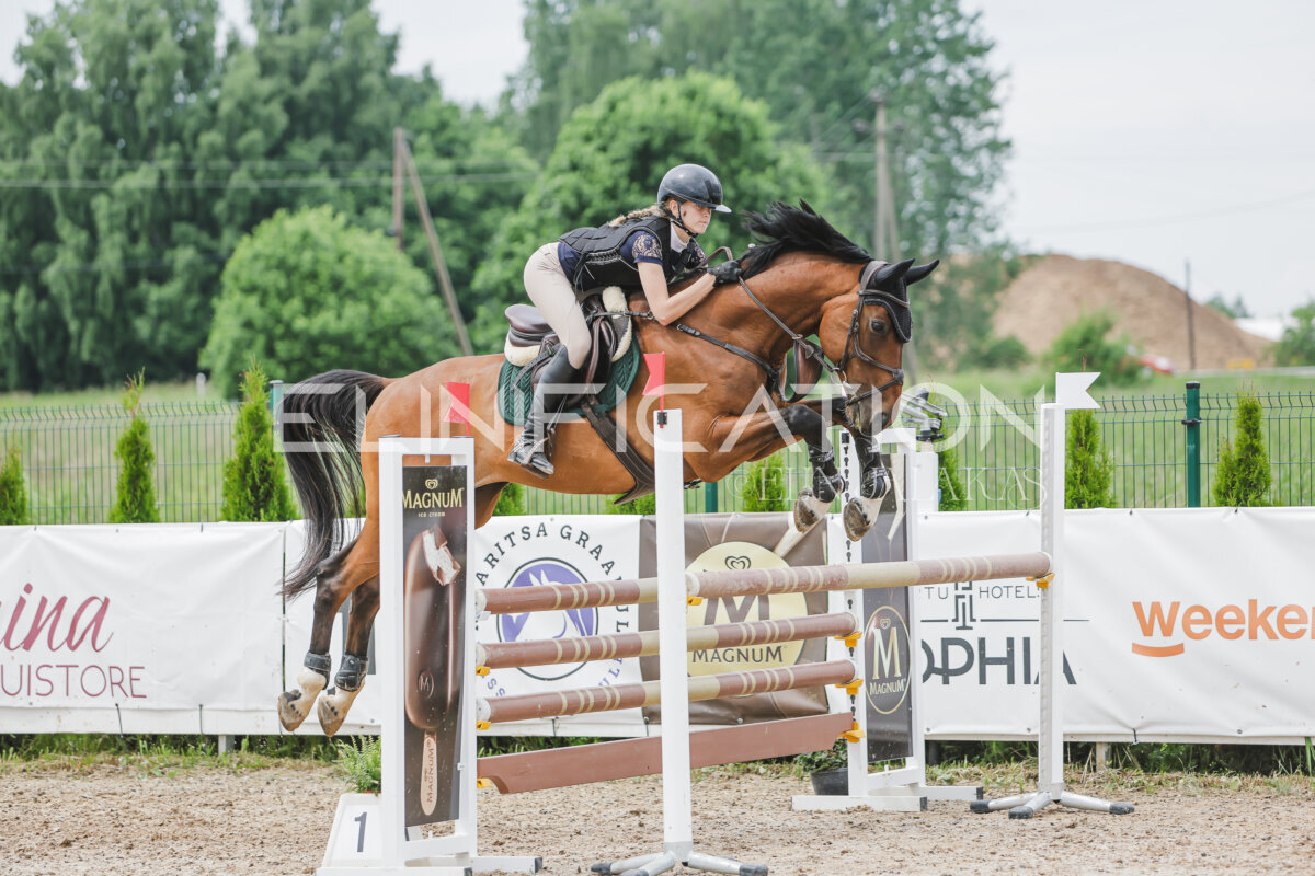 Gramina_Jaanipaev_2026_3p_115_134