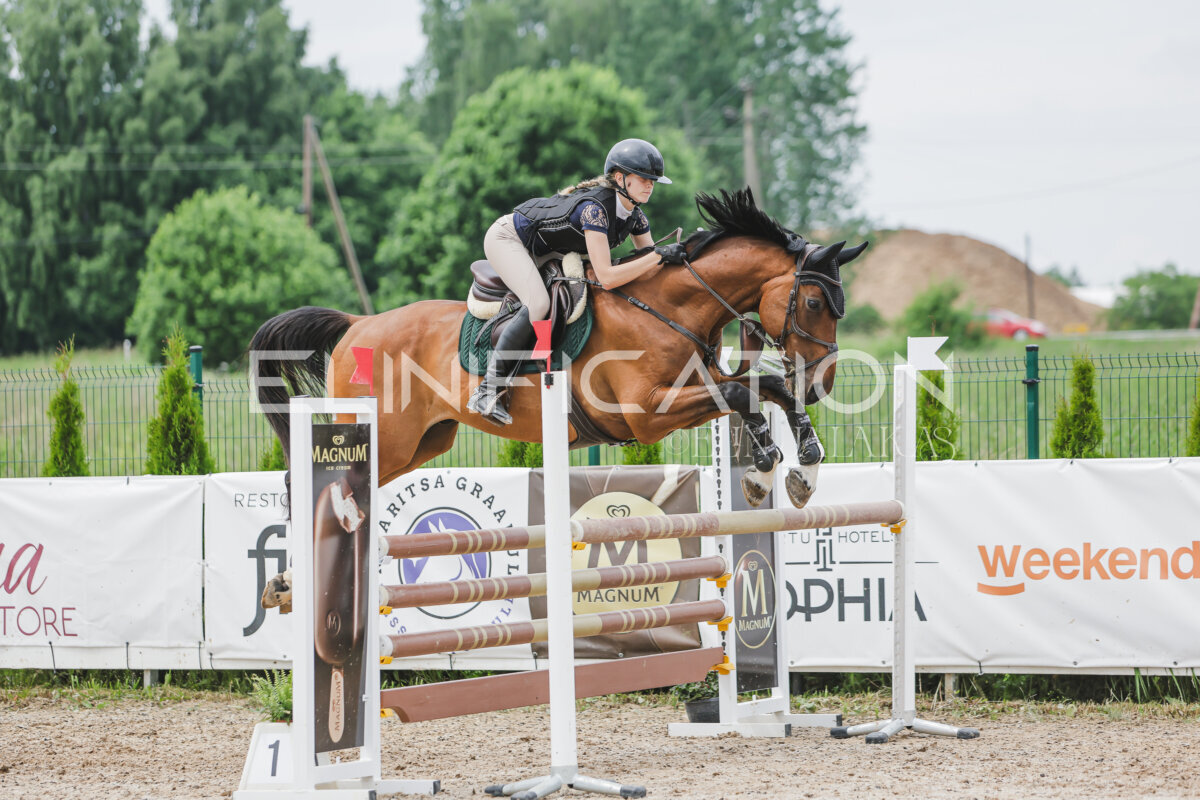 Gramina_Jaanipaev_2026_3p_115_135