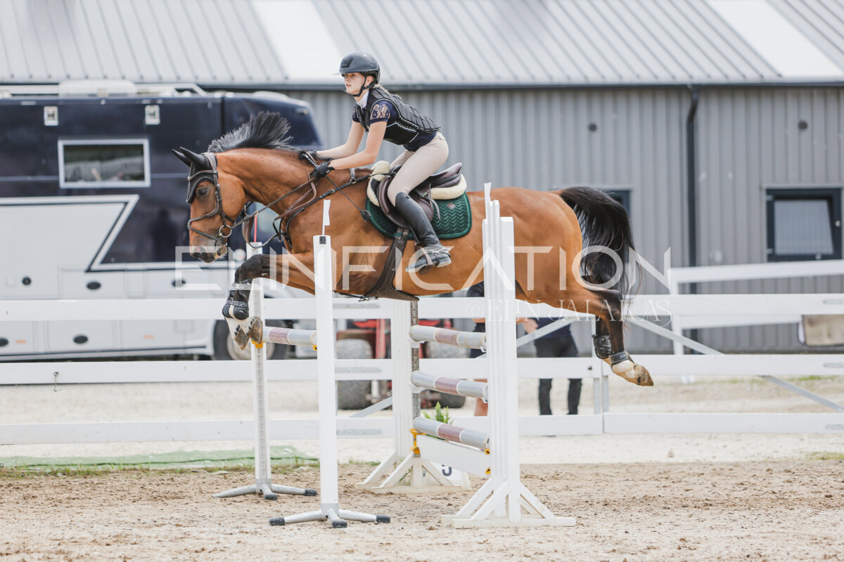 Gramina_Jaanipaev_2026_3p_115_136