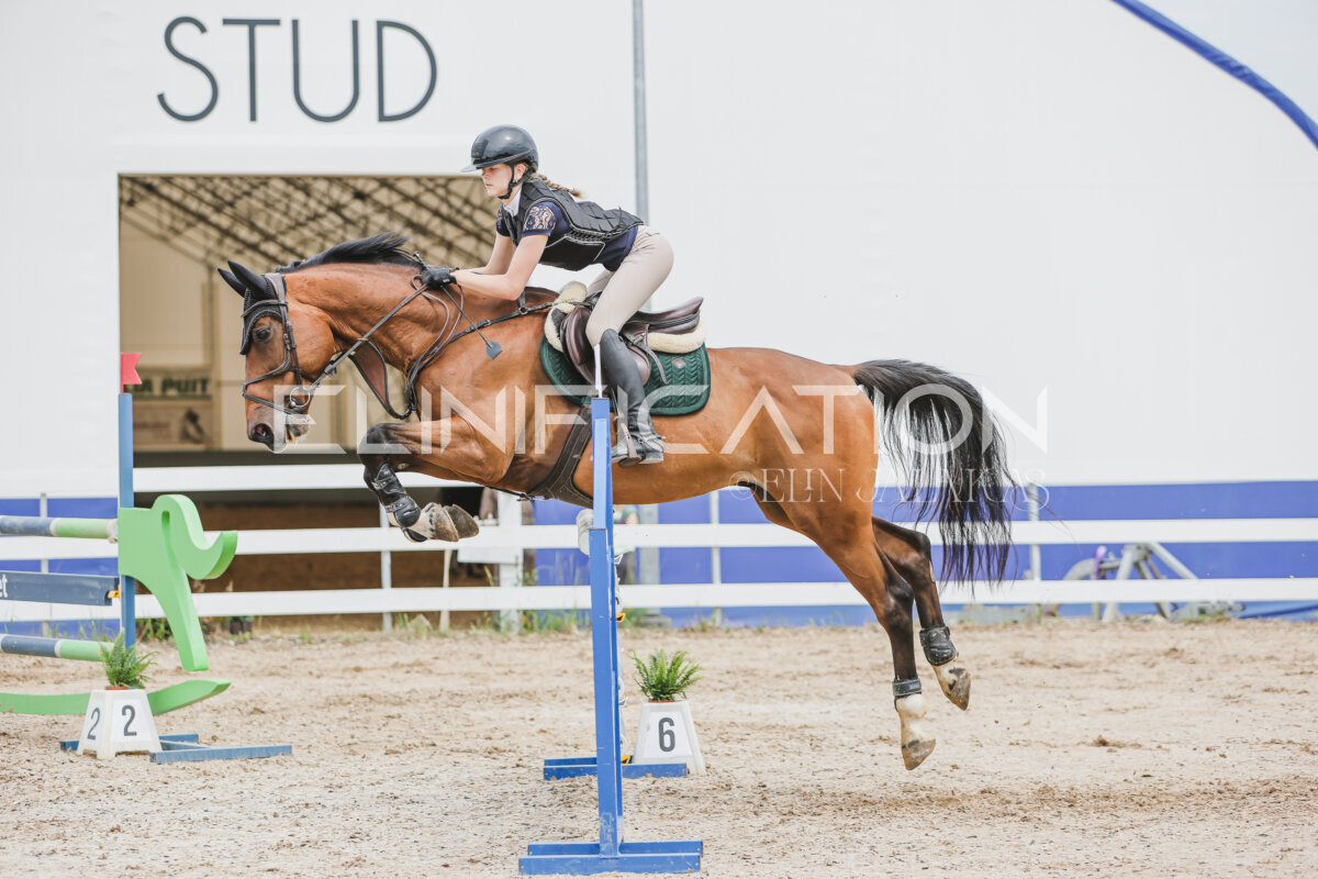 Gramina_Jaanipaev_2026_3p_115_137