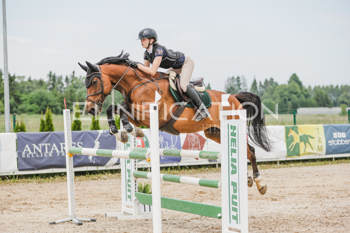 Gramina_Jaanipaev_2026_3p_115_138