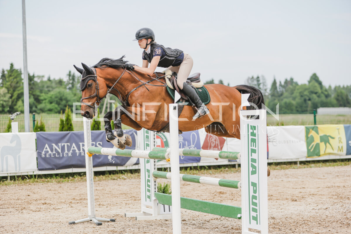 Gramina_Jaanipaev_2026_3p_115_139