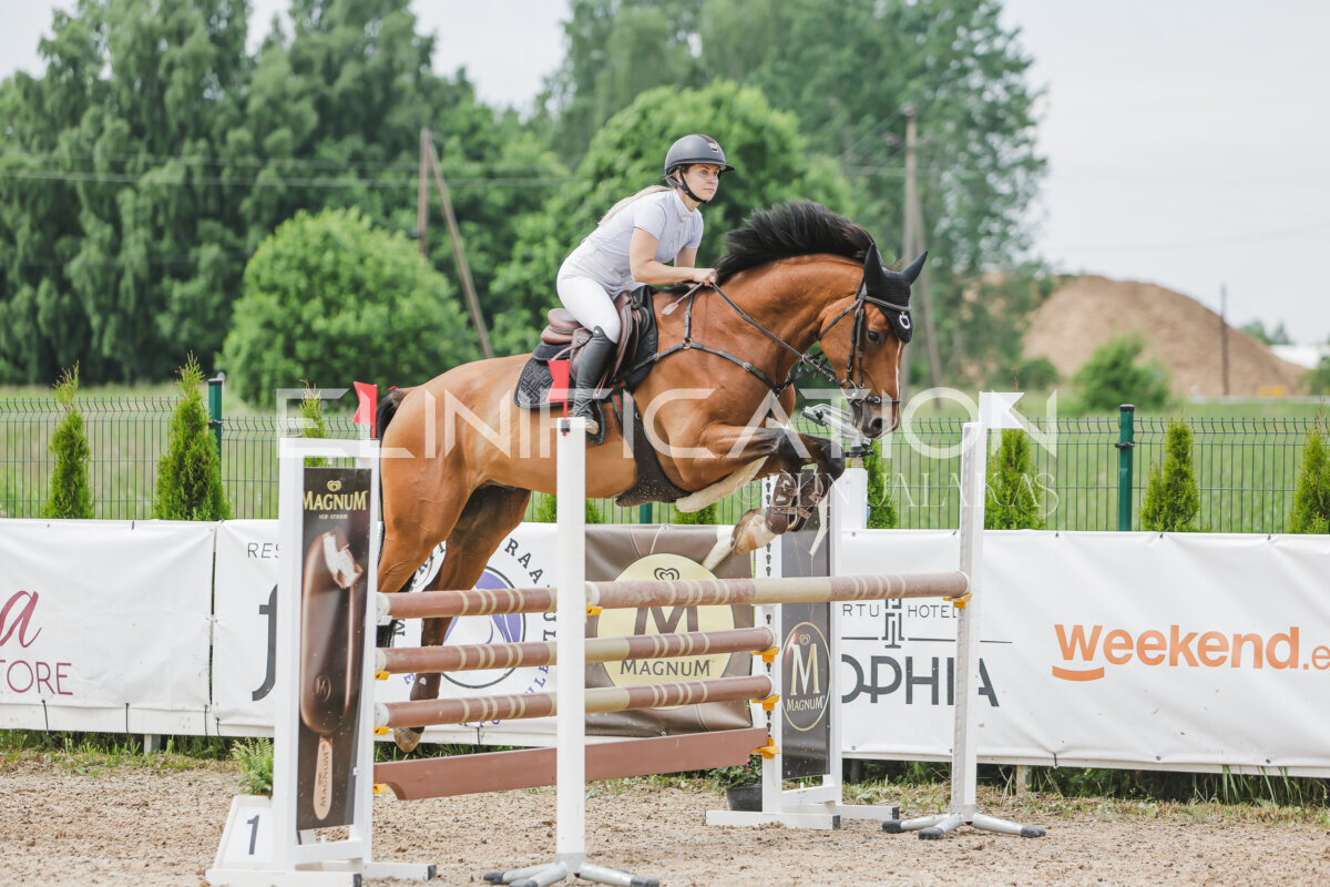 Gramina_Jaanipaev_2026_3p_115_140