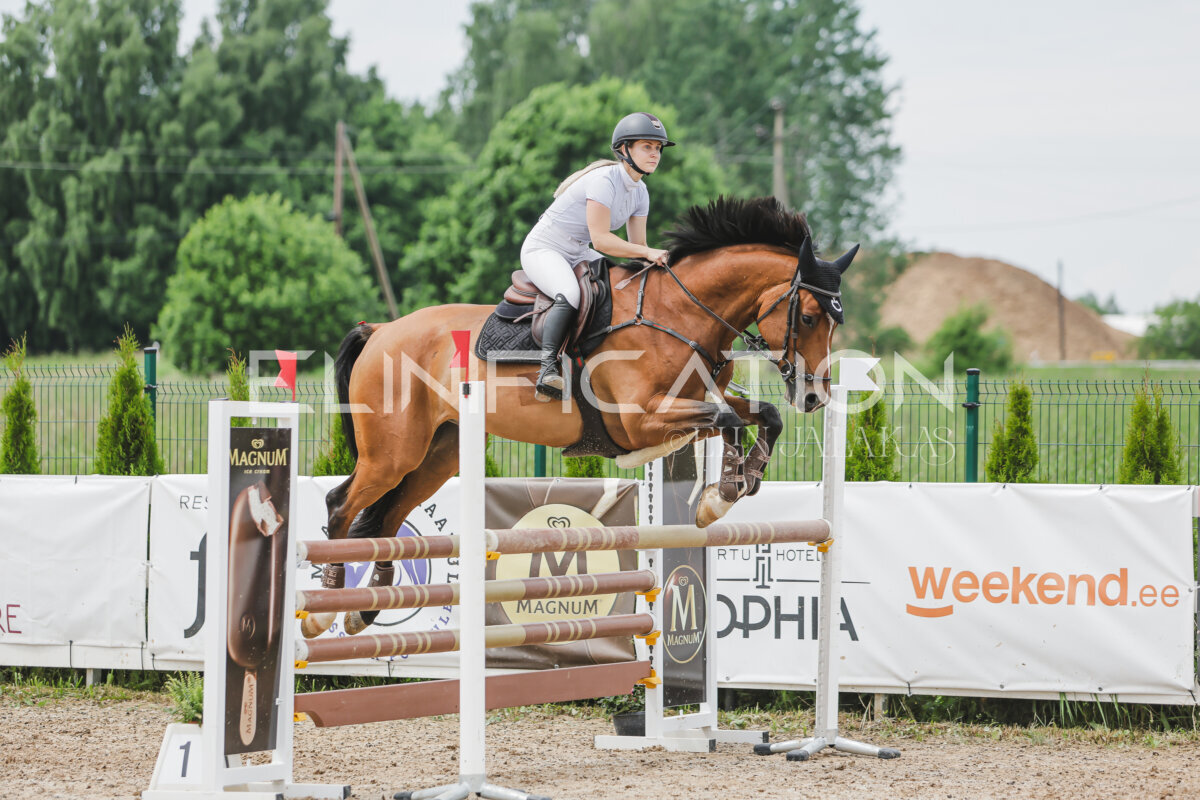 Gramina_Jaanipaev_2026_3p_115_141