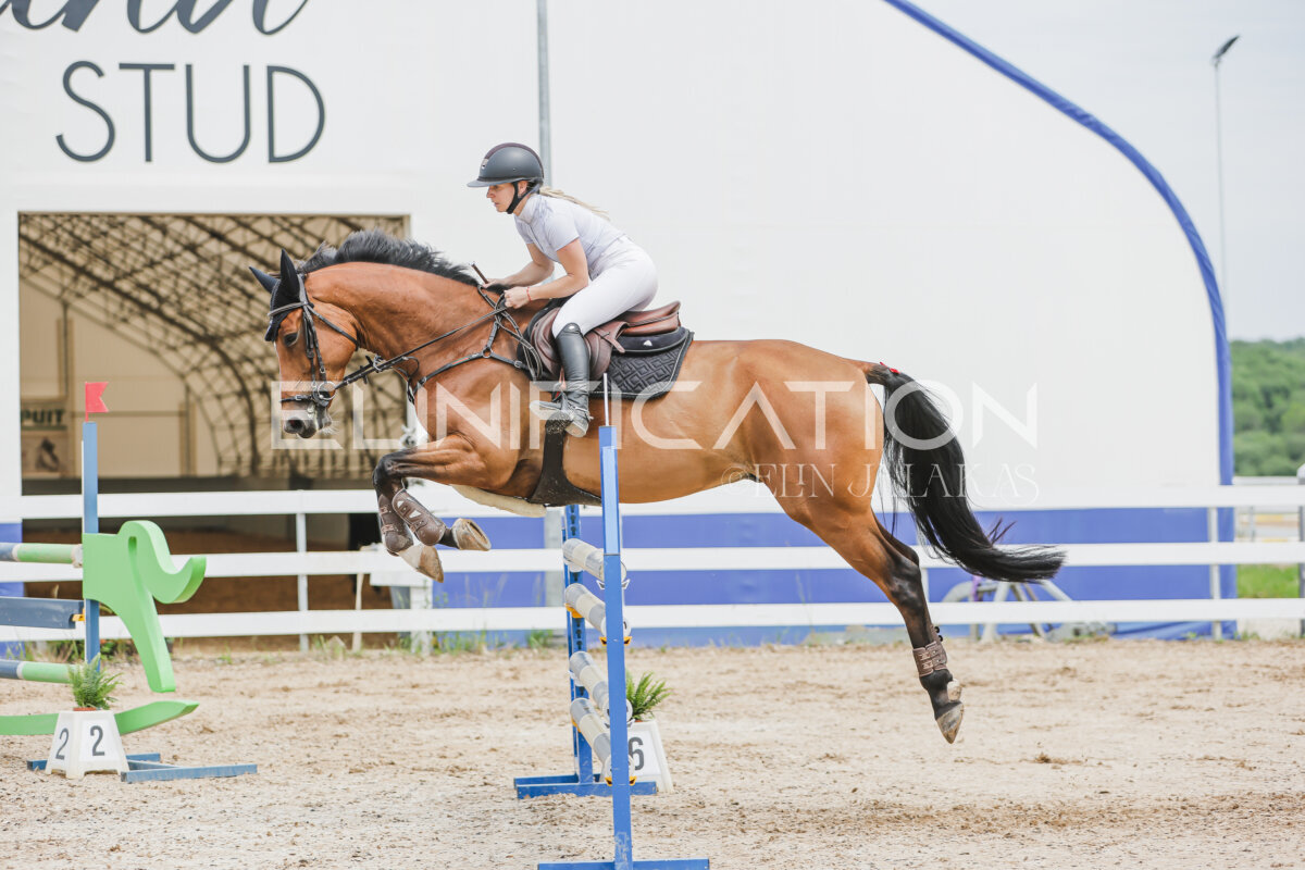 Gramina_Jaanipaev_2026_3p_115_142