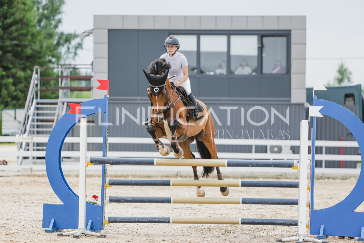 Gramina_Jaanipaev_2026_3p_115_144