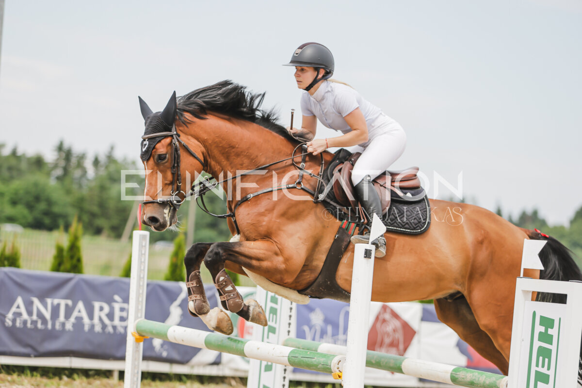 Gramina_Jaanipaev_2026_3p_115_145
