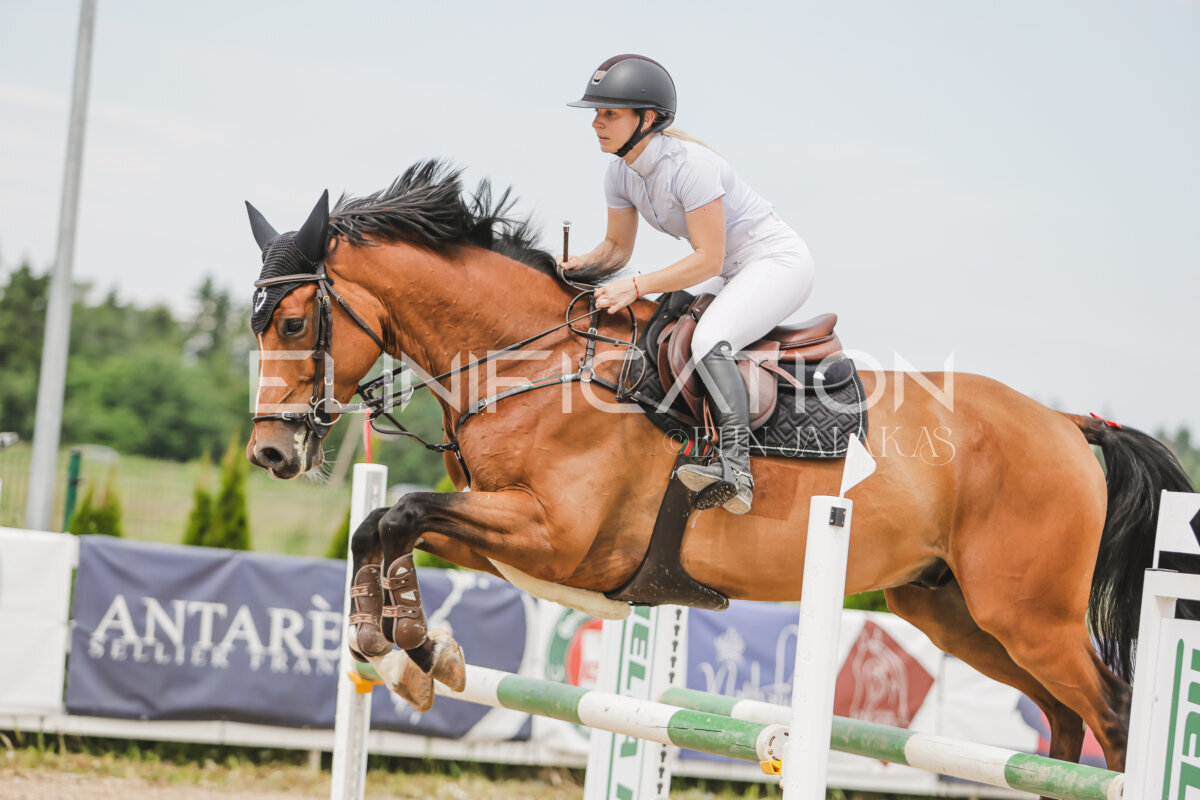 Gramina_Jaanipaev_2026_3p_115_146