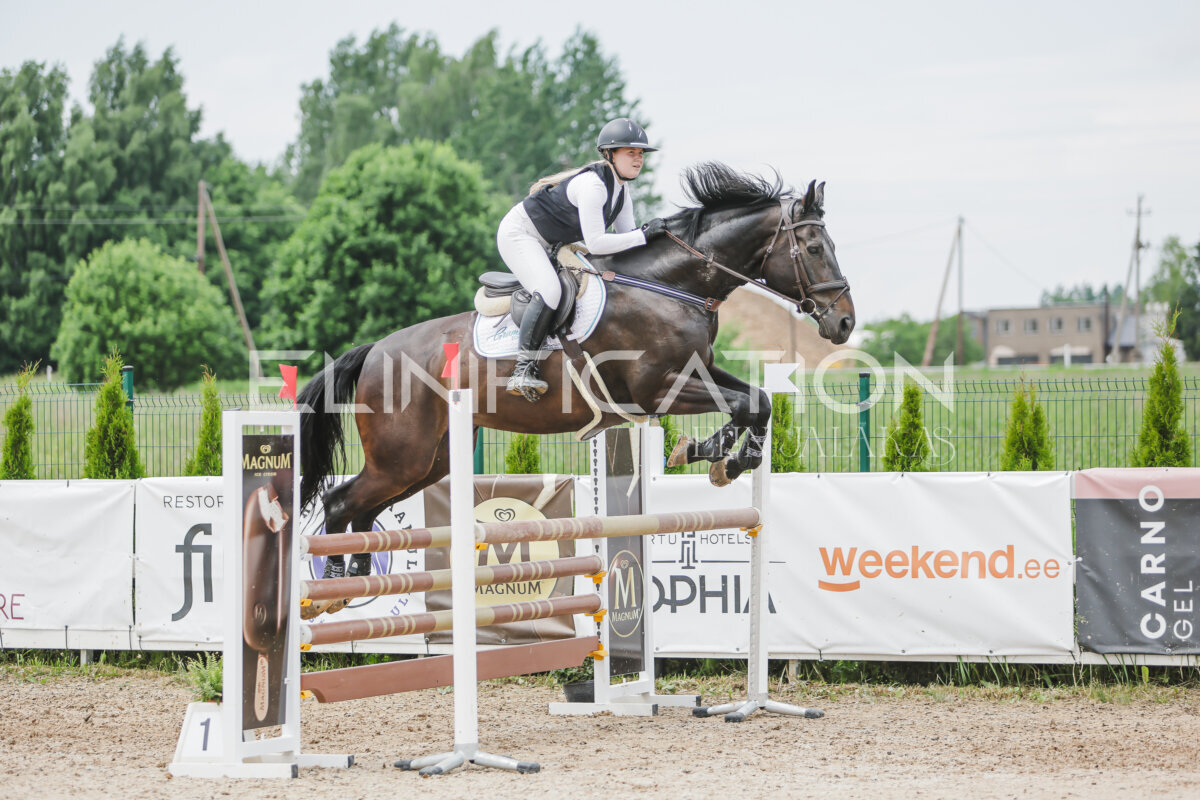 Gramina_Jaanipaev_2026_3p_115_148