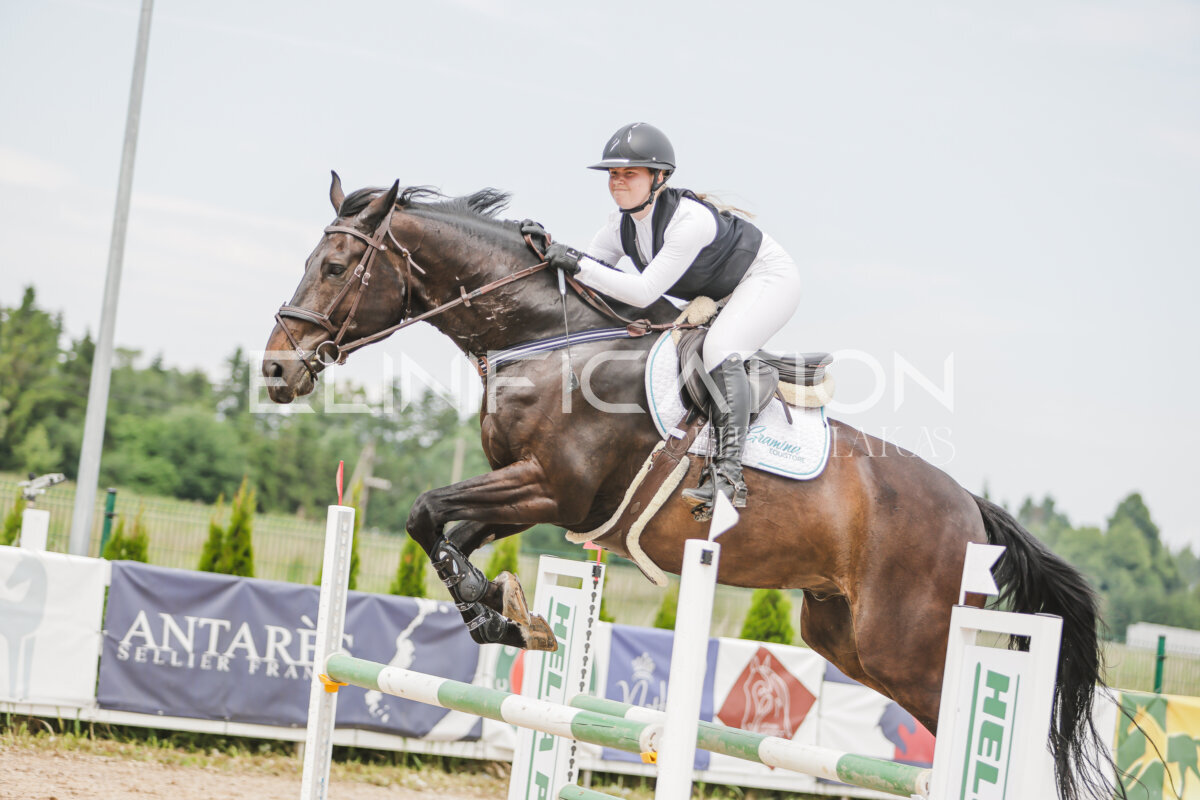 Gramina_Jaanipaev_2026_3p_115_151