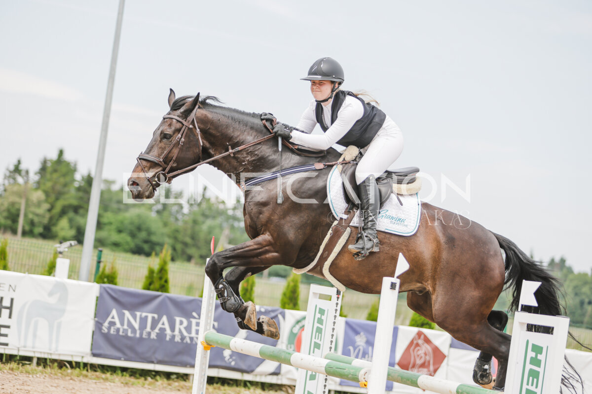 Gramina_Jaanipaev_2026_3p_115_152