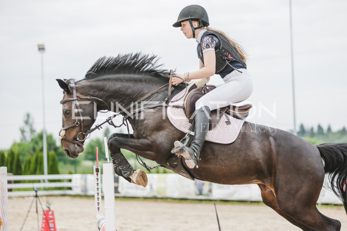 Gramina_Jaanipaev_2026_3p_115_155