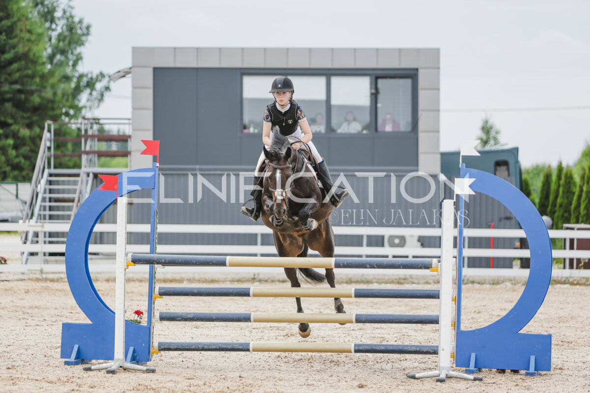 Gramina_Jaanipaev_2026_3p_115_156