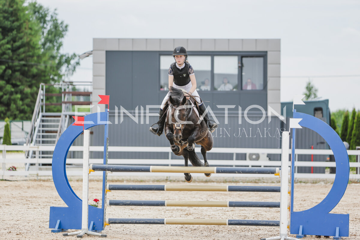 Gramina_Jaanipaev_2026_3p_115_158