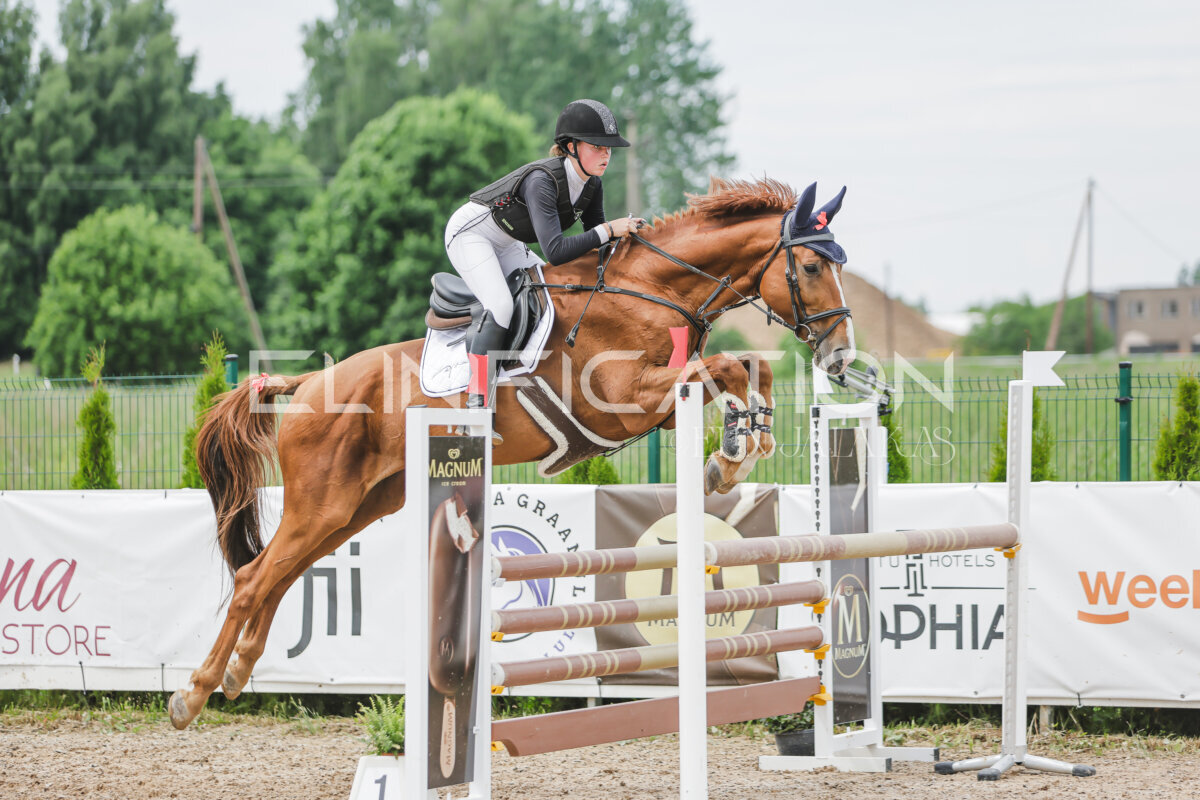 Gramina_Jaanipaev_2026_3p_115_161