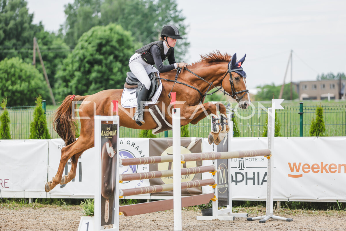 Gramina_Jaanipaev_2026_3p_115_162
