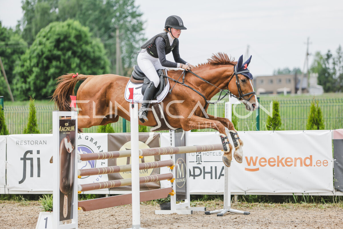 Gramina_Jaanipaev_2026_3p_115_164