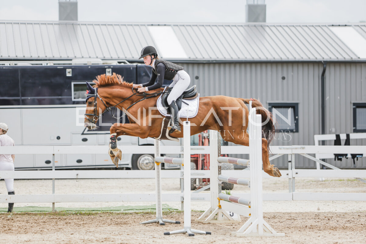 Gramina_Jaanipaev_2026_3p_115_166