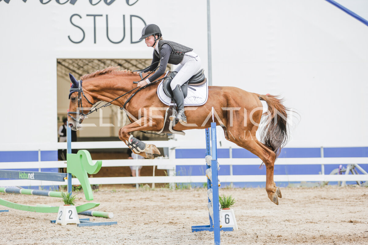 Gramina_Jaanipaev_2026_3p_115_167