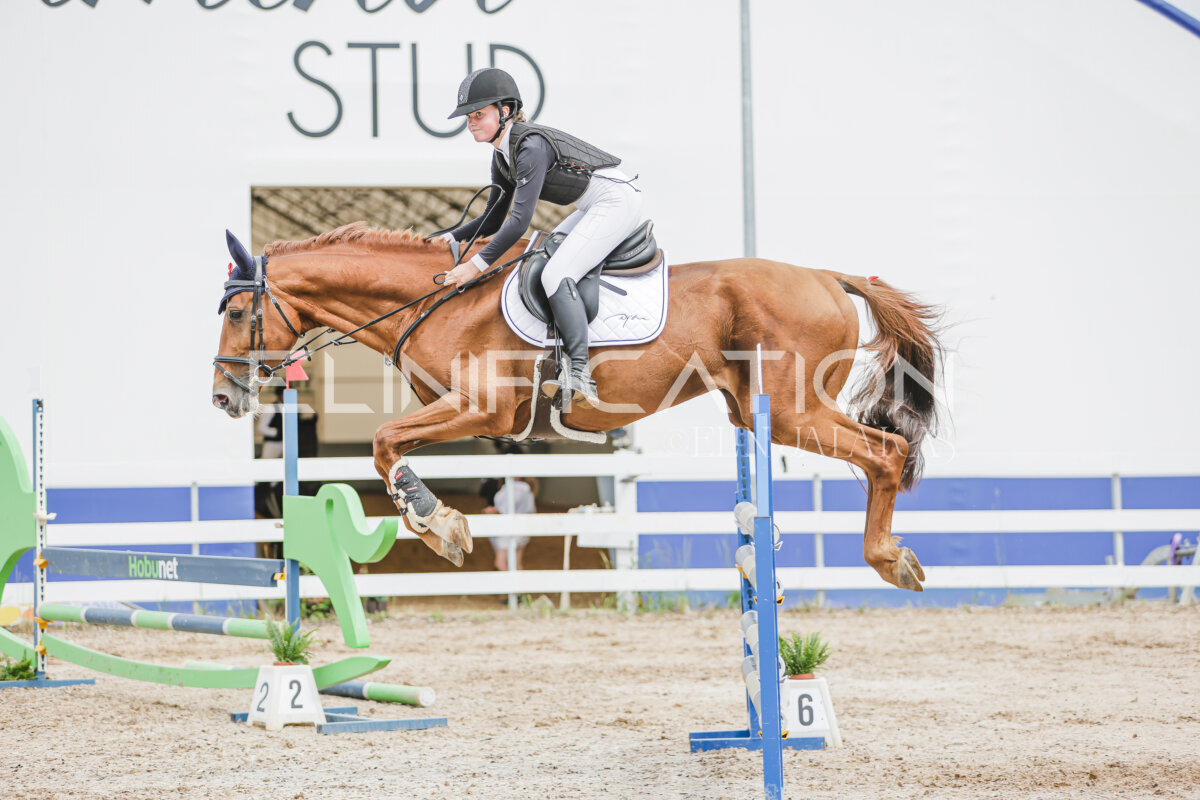 Gramina_Jaanipaev_2026_3p_115_168