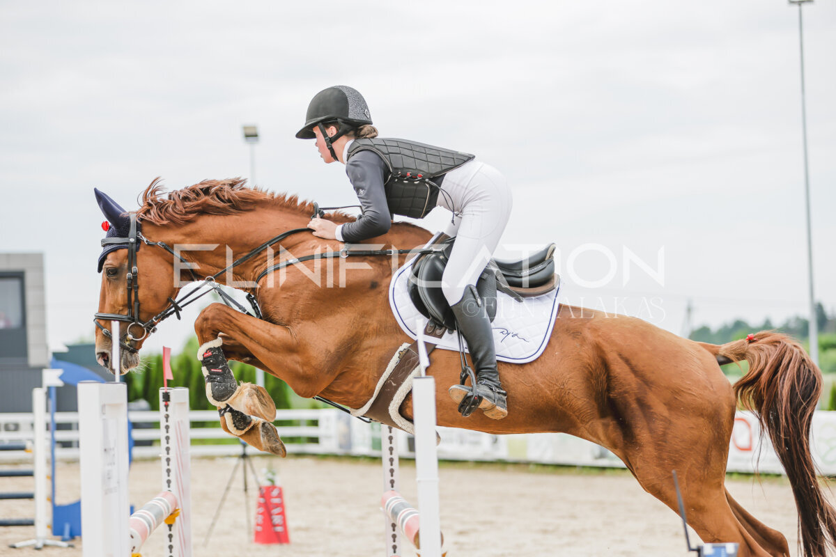 Gramina_Jaanipaev_2026_3p_115_169