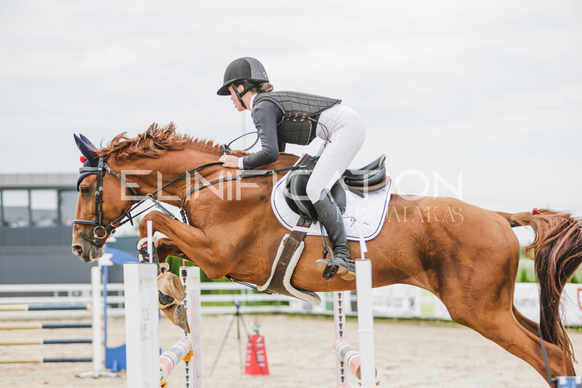 Gramina_Jaanipaev_2026_3p_115_170