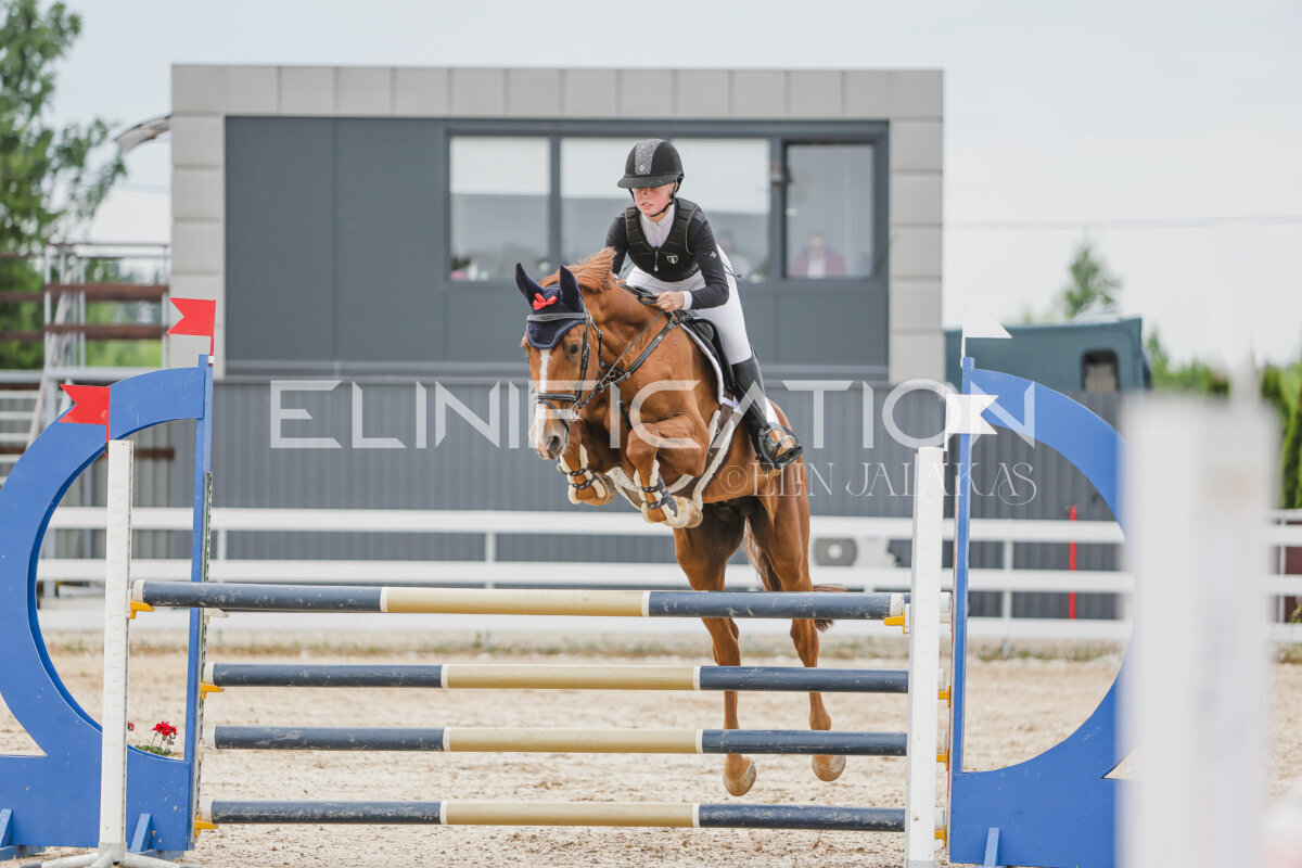 Gramina_Jaanipaev_2026_3p_115_172