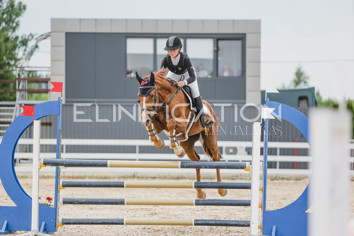 Gramina_Jaanipaev_2026_3p_115_173