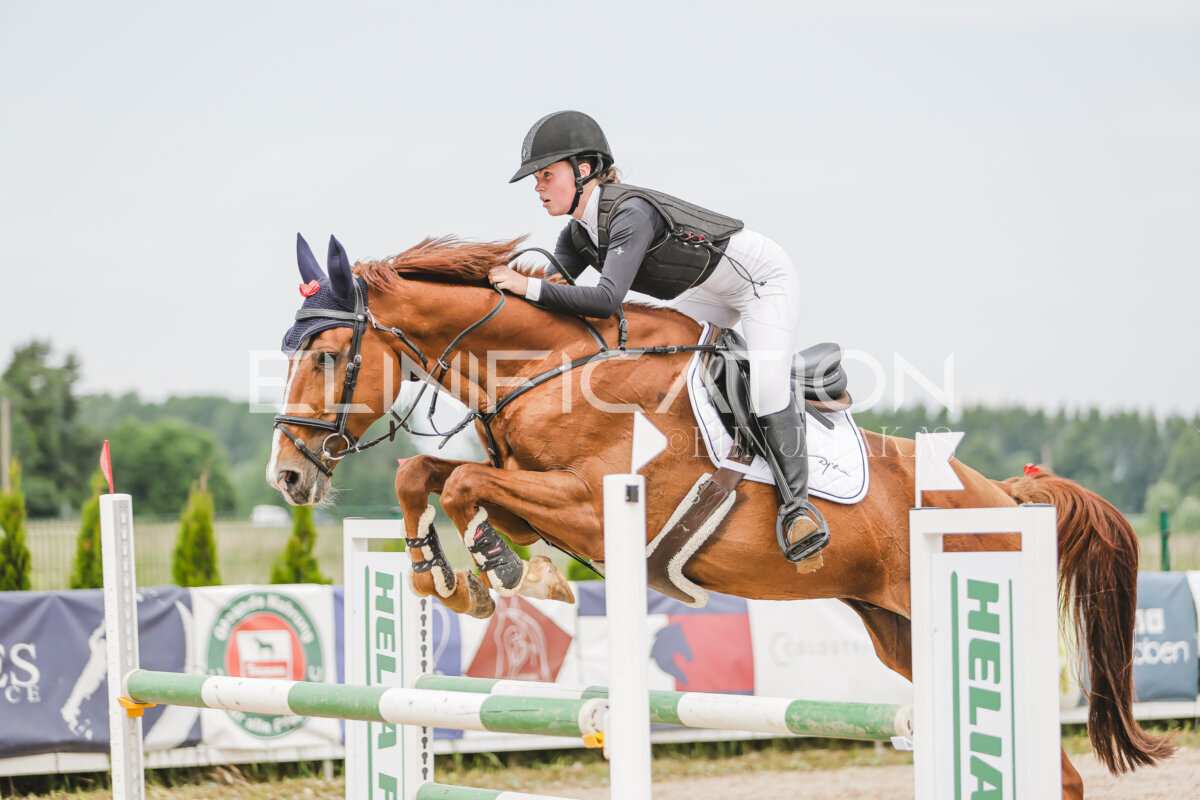 Gramina_Jaanipaev_2026_3p_115_174