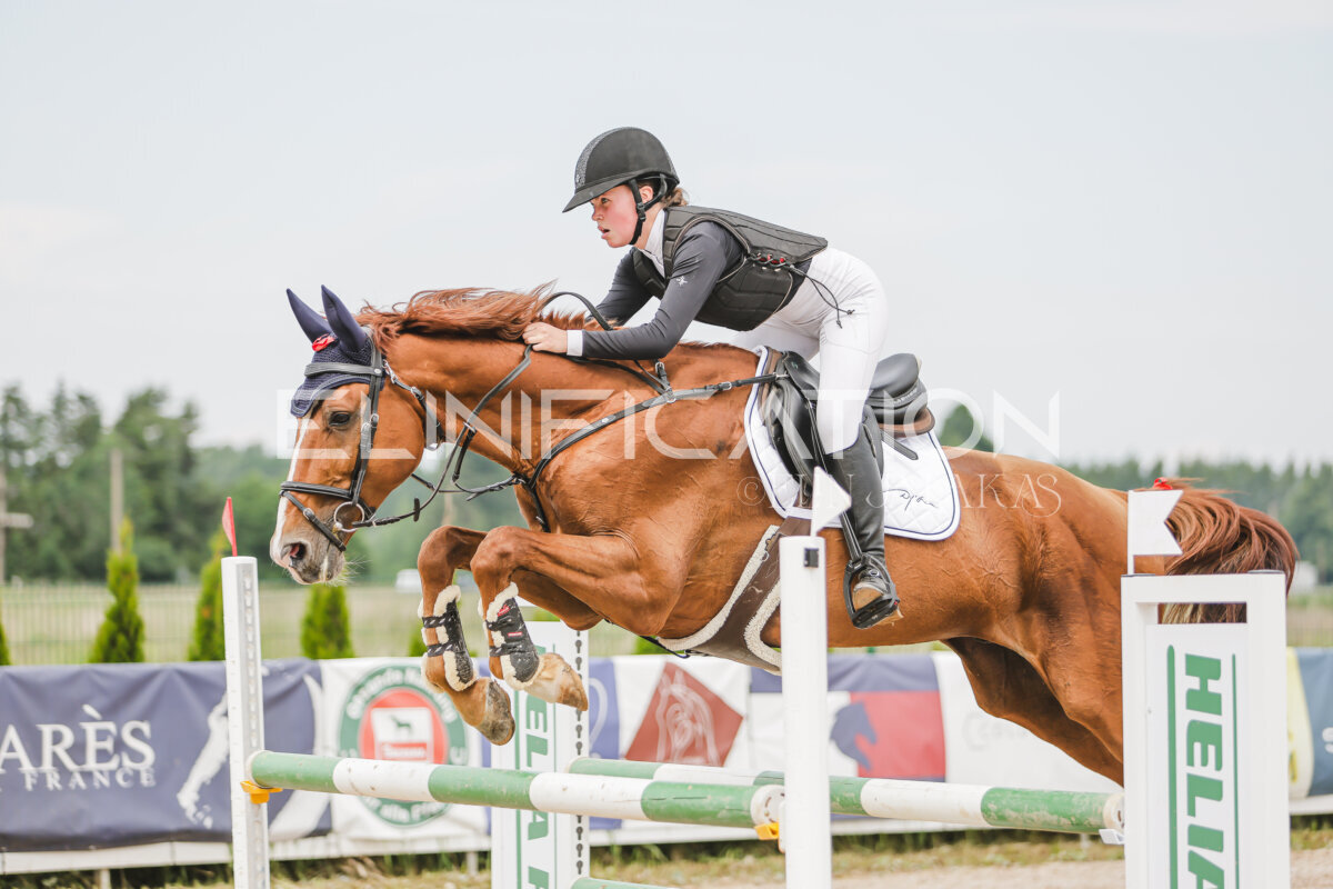 Gramina_Jaanipaev_2026_3p_115_175