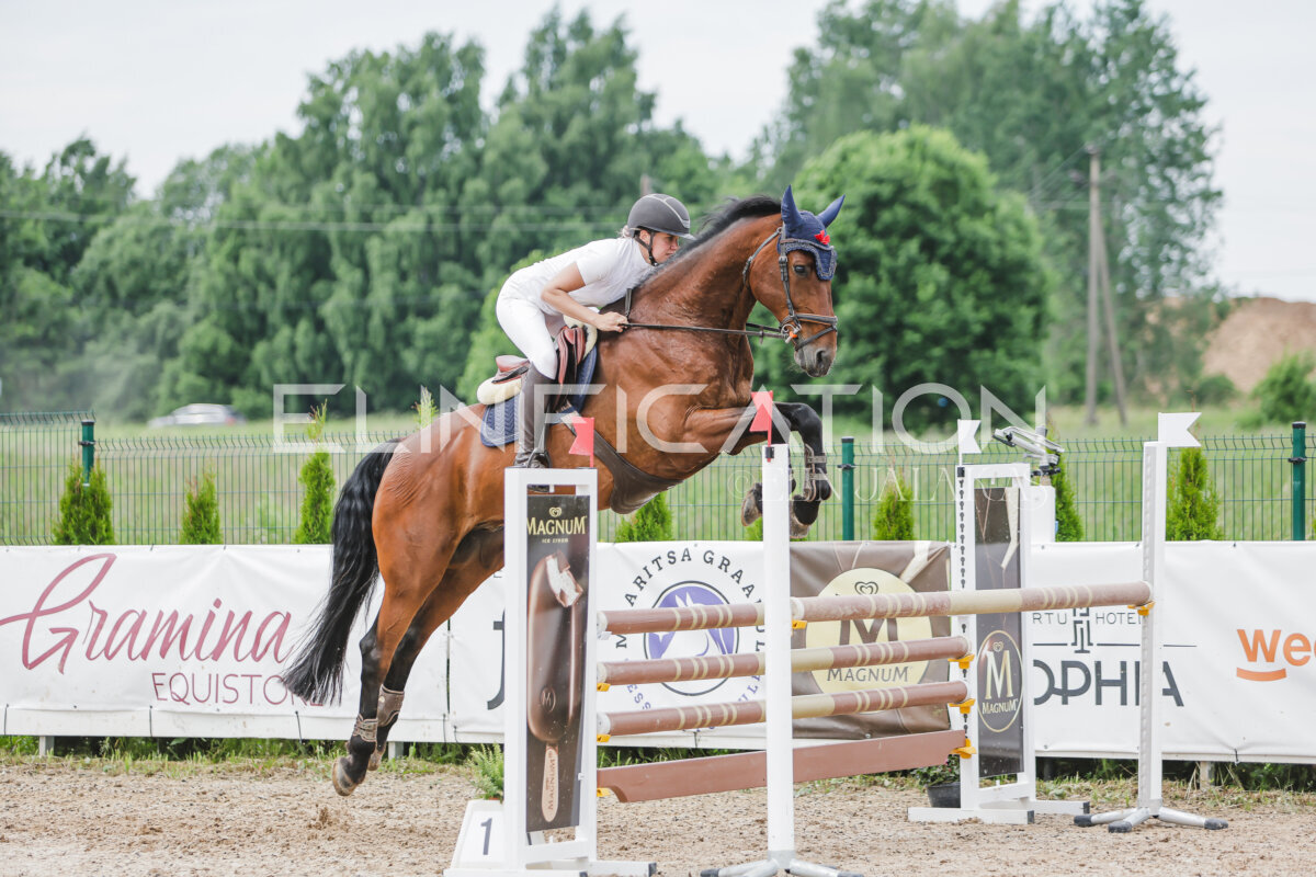 Gramina_Jaanipaev_2026_3p_115_177
