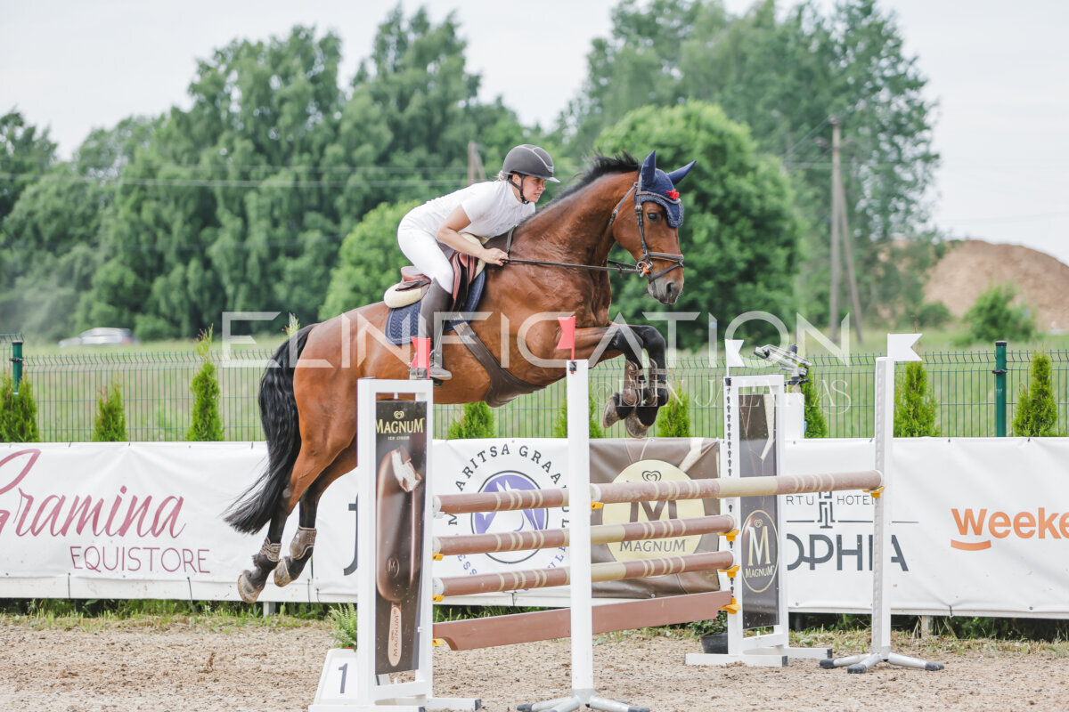 Gramina_Jaanipaev_2026_3p_115_178