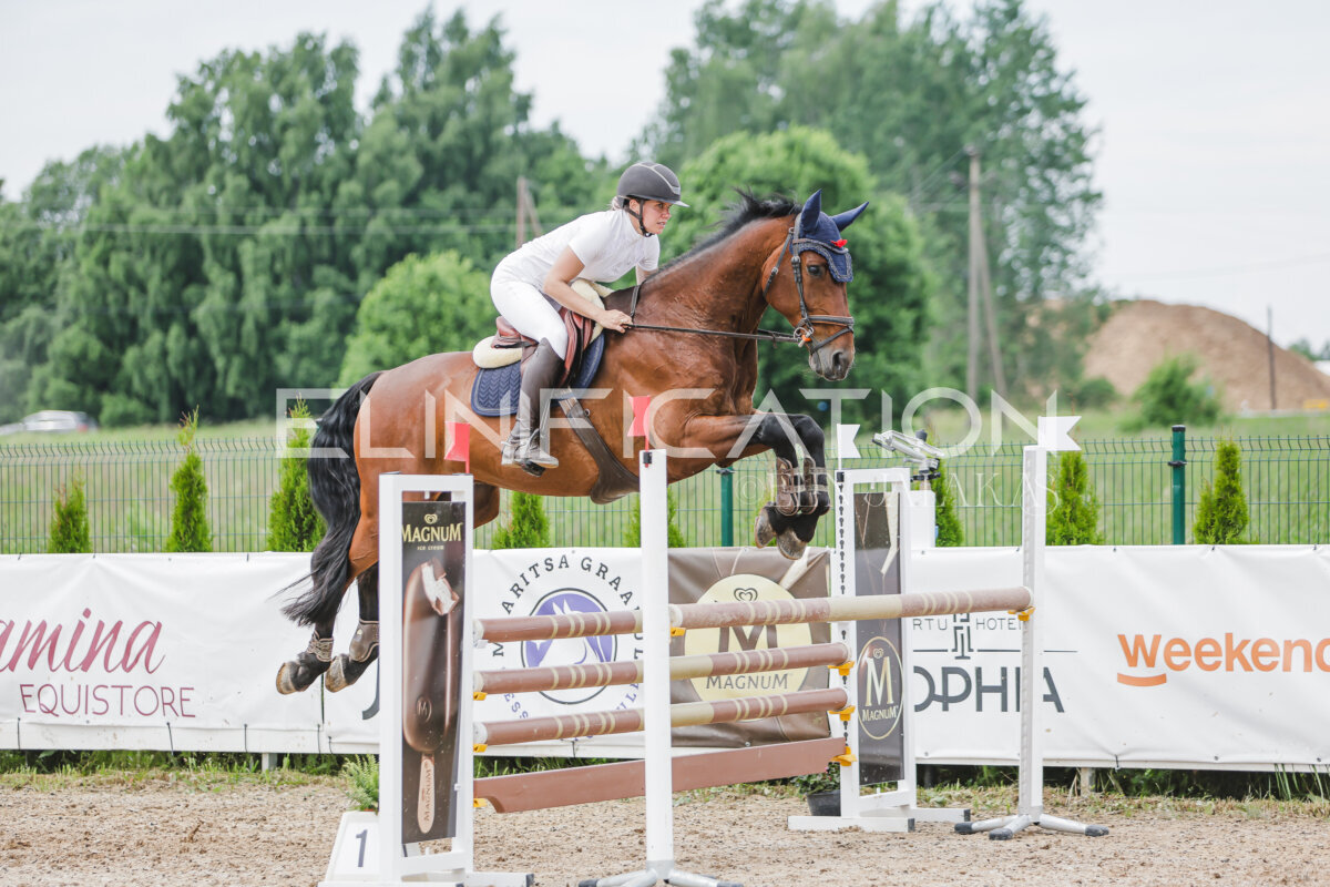 Gramina_Jaanipaev_2026_3p_115_179