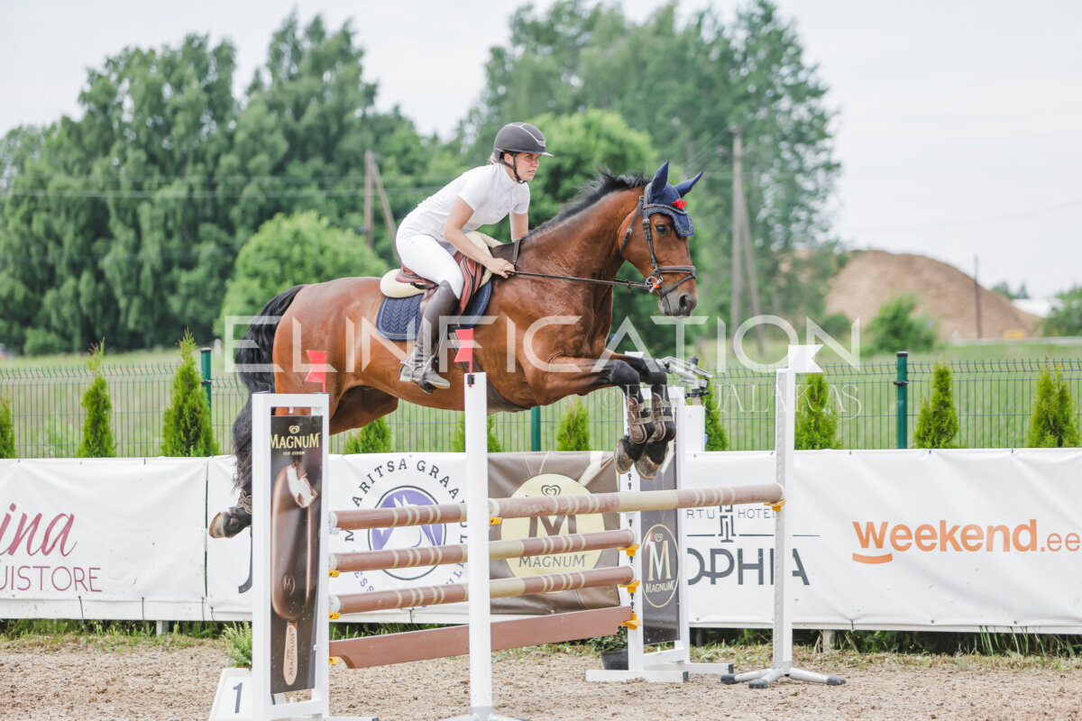 Gramina_Jaanipaev_2026_3p_115_180