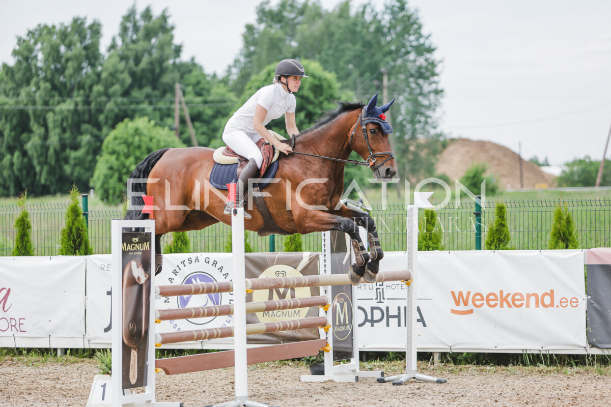 Gramina_Jaanipaev_2026_3p_115_181