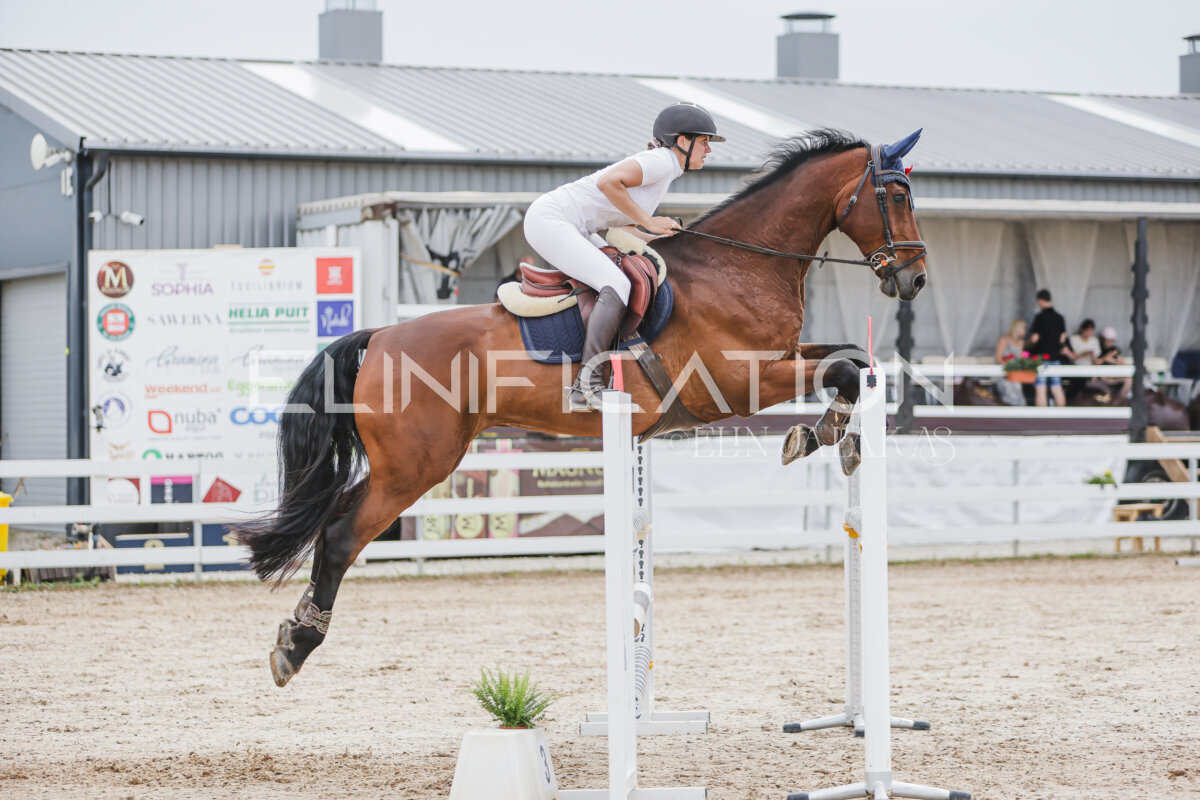 Gramina_Jaanipaev_2026_3p_115_182