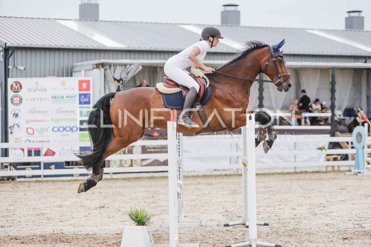 Gramina_Jaanipaev_2026_3p_115_183