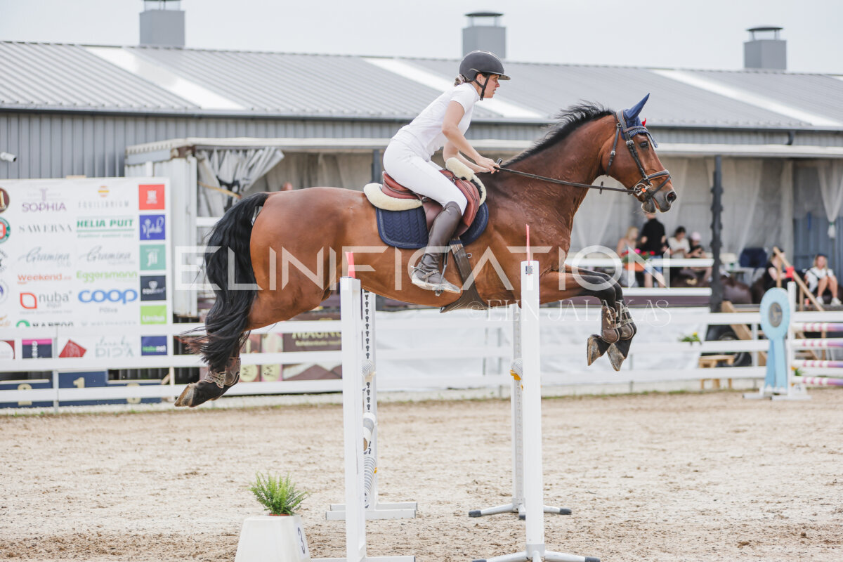 Gramina_Jaanipaev_2026_3p_115_184