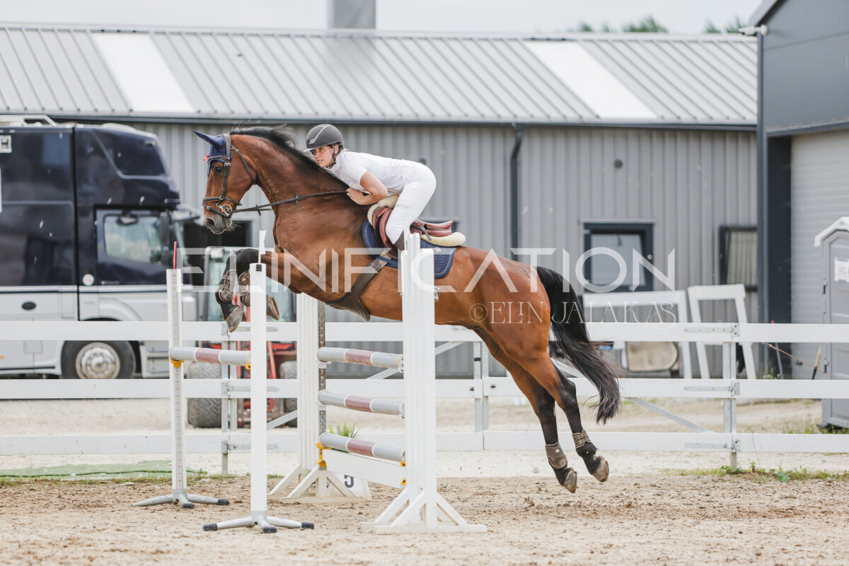 Gramina_Jaanipaev_2026_3p_115_185