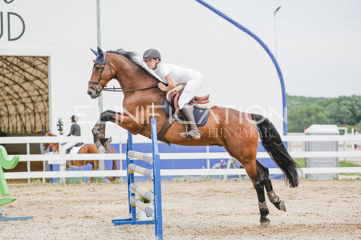 Gramina_Jaanipaev_2026_3p_115_188