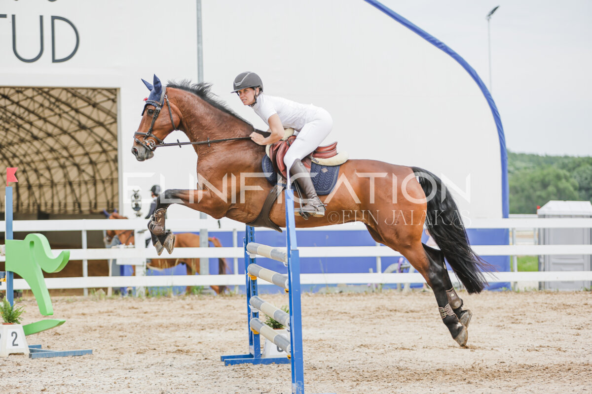 Gramina_Jaanipaev_2026_3p_115_189