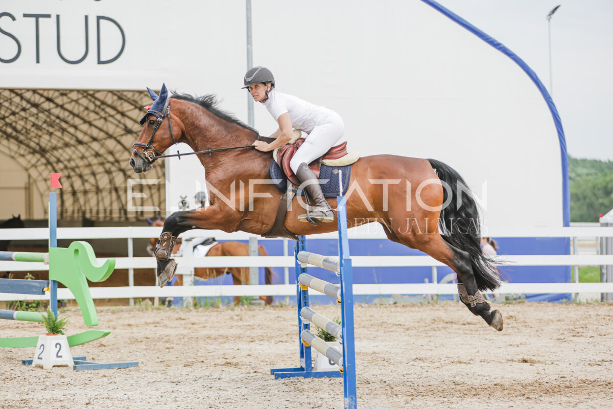 Gramina_Jaanipaev_2026_3p_115_190