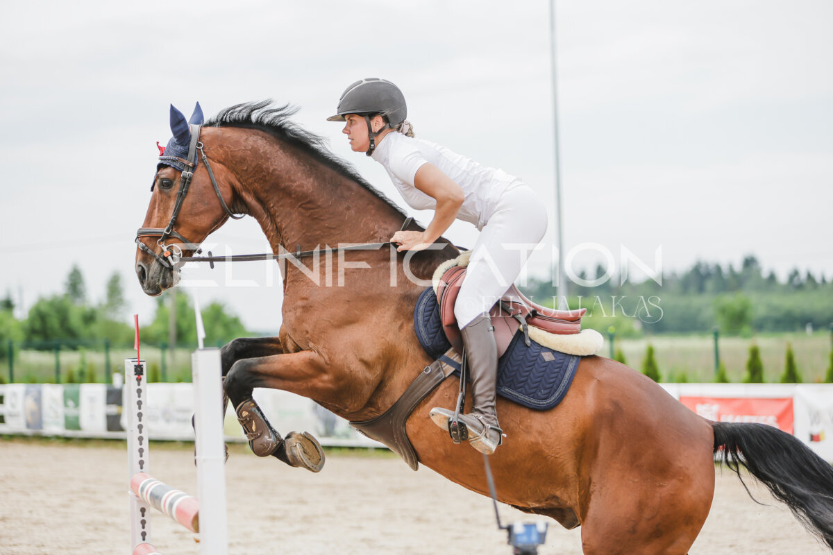 Gramina_Jaanipaev_2026_3p_115_191