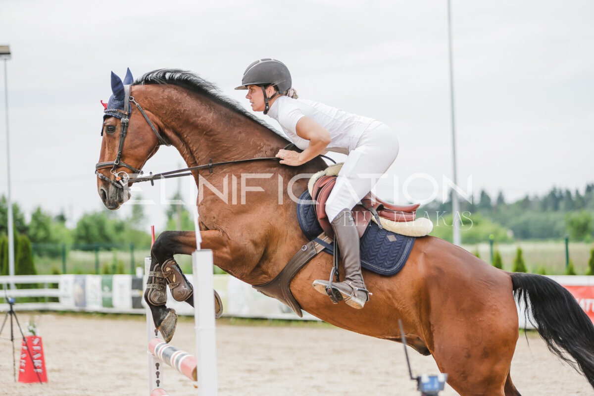 Gramina_Jaanipaev_2026_3p_115_192