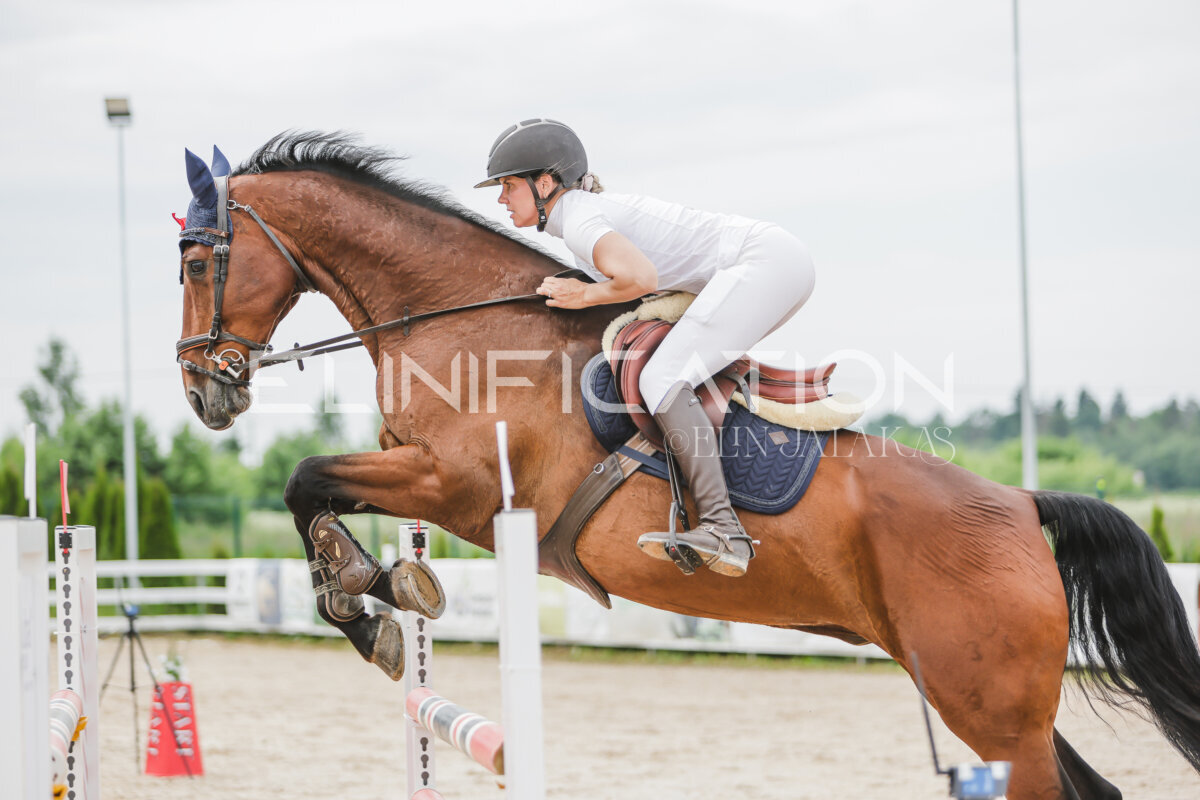 Gramina_Jaanipaev_2026_3p_115_193