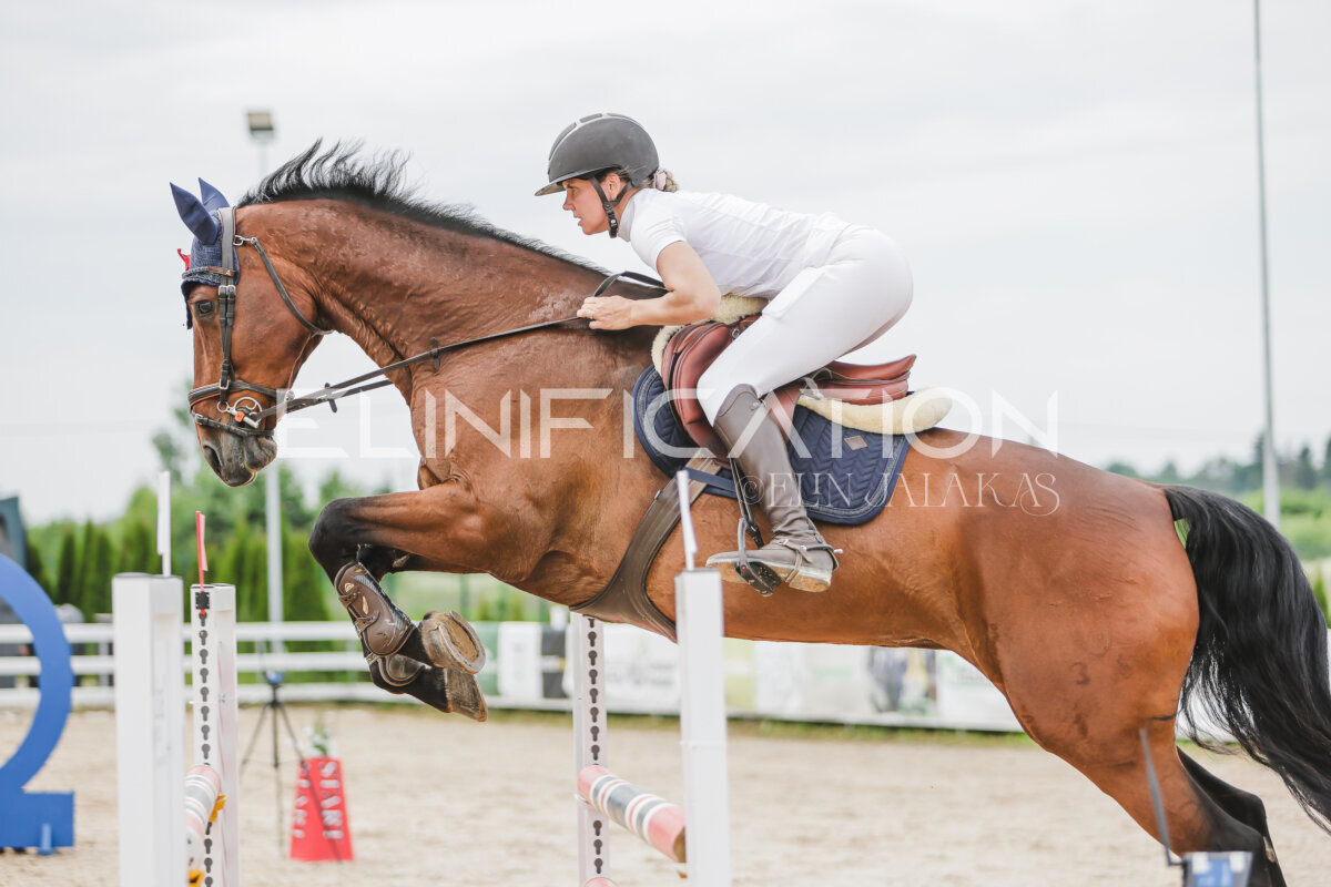 Gramina_Jaanipaev_2026_3p_115_194